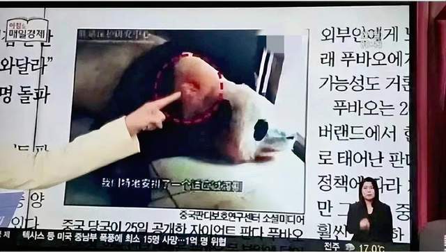 女模陈尸酒店 中国籍男子自首事件