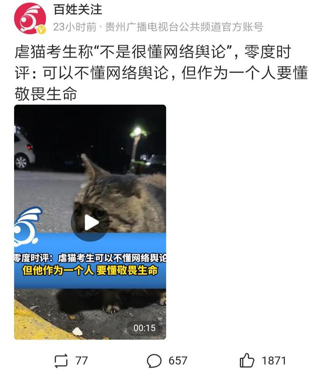 虐猫考生上岸失败系道德品行与社会问题