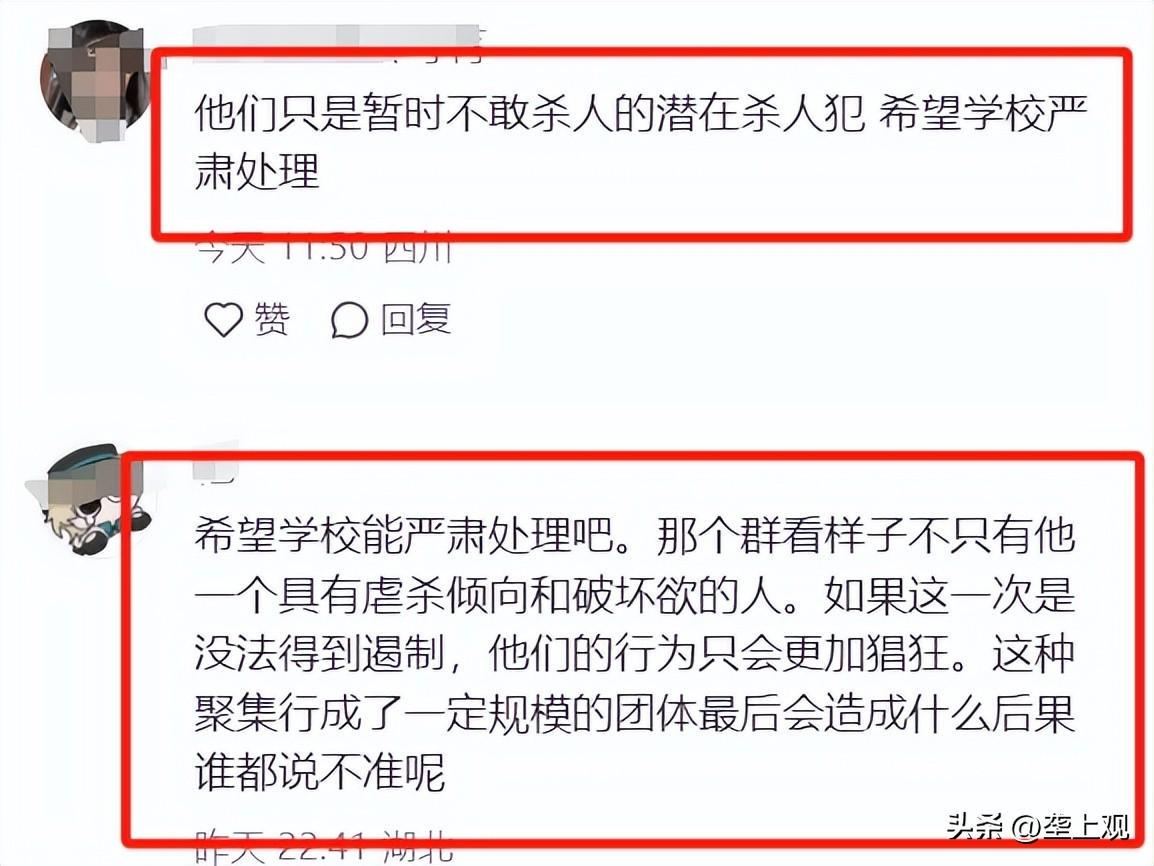 虐猫考生被取消招聘资格，国际时事新闻背景