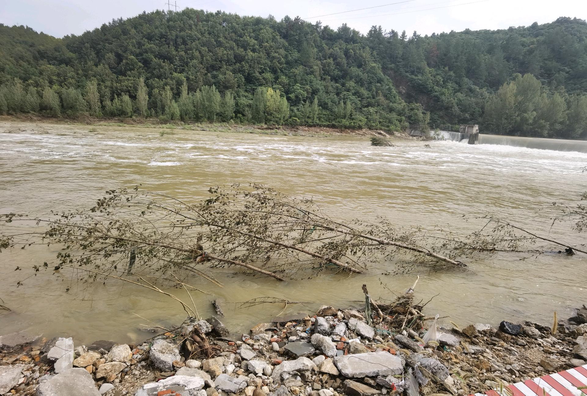 河南西峡强降雨遇难人数上升至5人，国际关注与救援行动